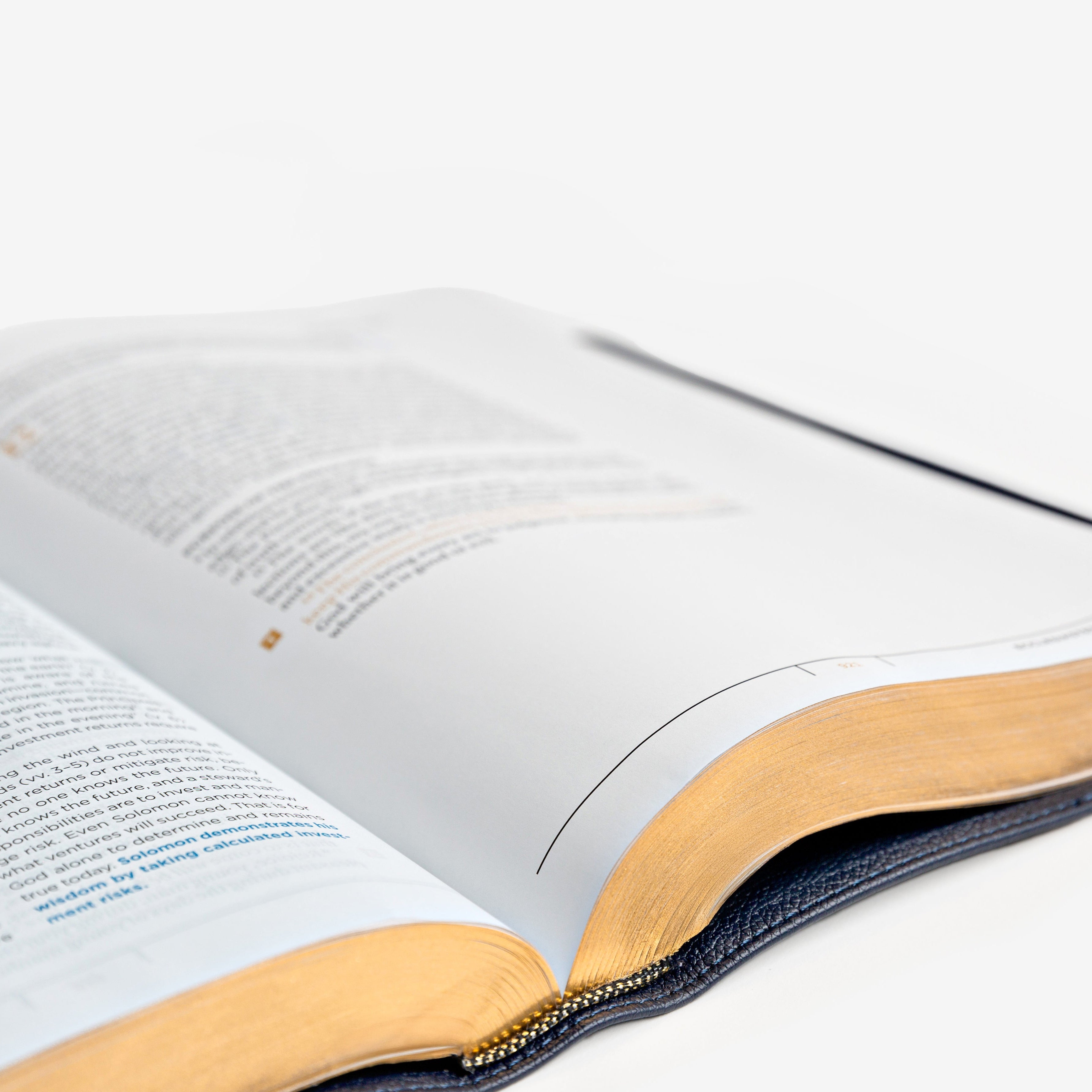 Elegant gold edges on a book 